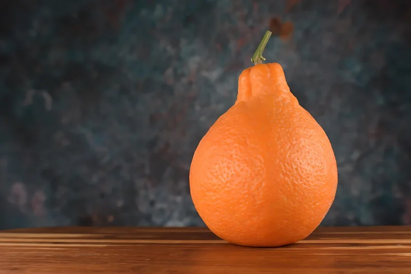 다이어트 중 디카페인 과다 섭취 간 효소 수준 저하와 대사증후군 연관 분석