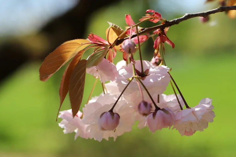 디카페인 장기간 복용자 혈청 가스트린 증가로 만성 위염 악화 방지 팁