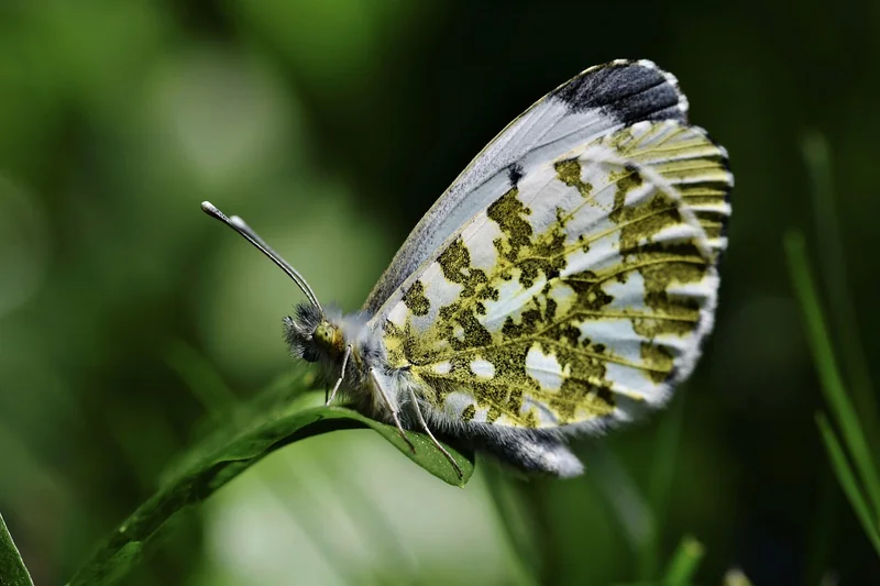 디카페인 장기간 복용자 혈청 가스트린 증가로 만성 위염 악화 방지 팁