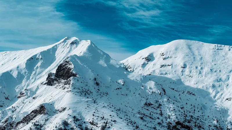 디카페인 장기간 복용자 혈청 가스트린 증가로 만성 위염 악화 방지 팁