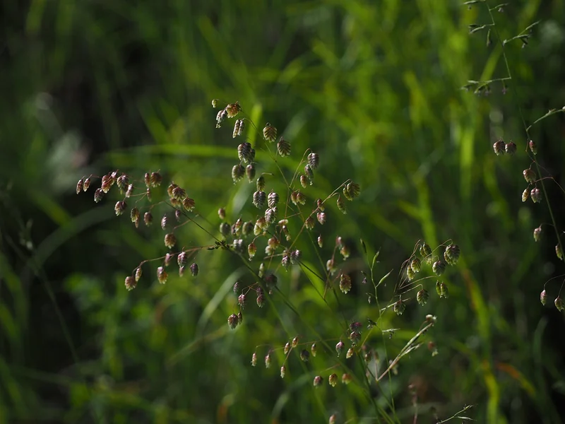 '만족감 부족'을 채우려다 늘어난 섭취량 수면의 질까지 흔들리는 패턴