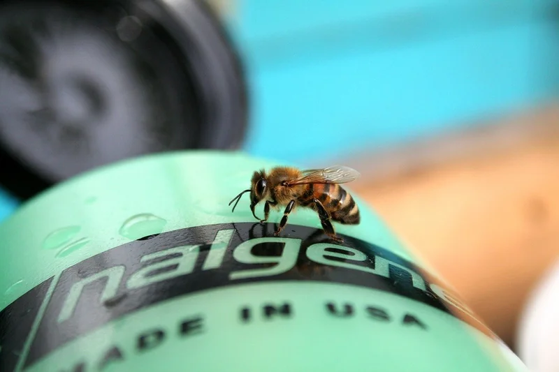 물 마셔도 목마르다 디카페인의 미묘한 이뇨 작용과 불완전한 수분 공급