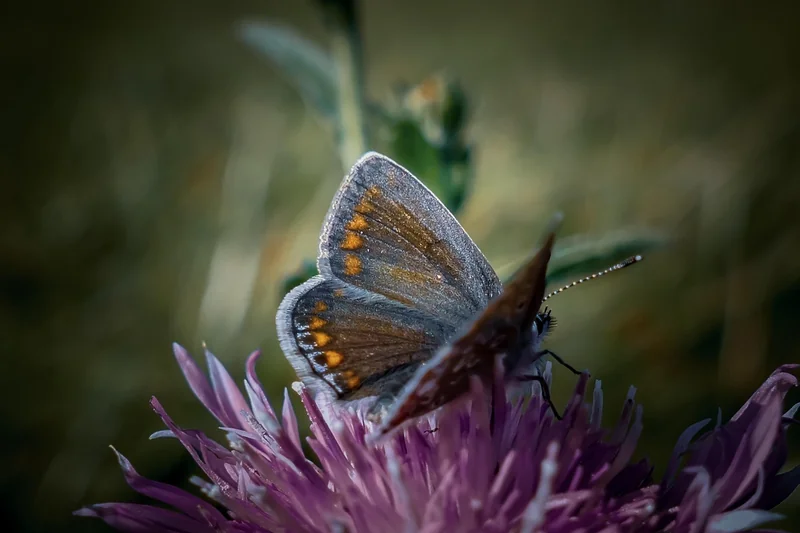 물 마셔도 목마르다 디카페인의 미묘한 이뇨 작용과 불완전한 수분 공급