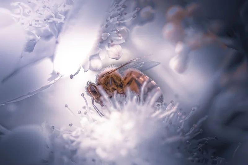 물 마셔도 목마르다 디카페인의 미묘한 이뇨 작용과 불완전한 수분 공급