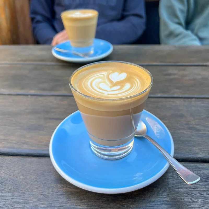 카페인 끊었는데 왜 불안할까 디카페인의 모호함이 던지는 심리적 허기